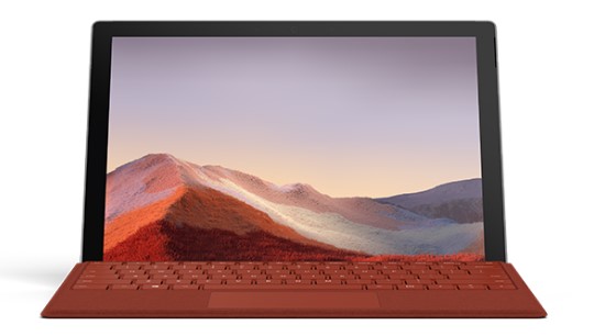 黑山清洁和维护 Surface
